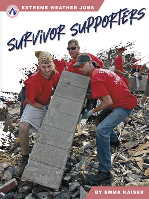 cover image of Survivor Supporters